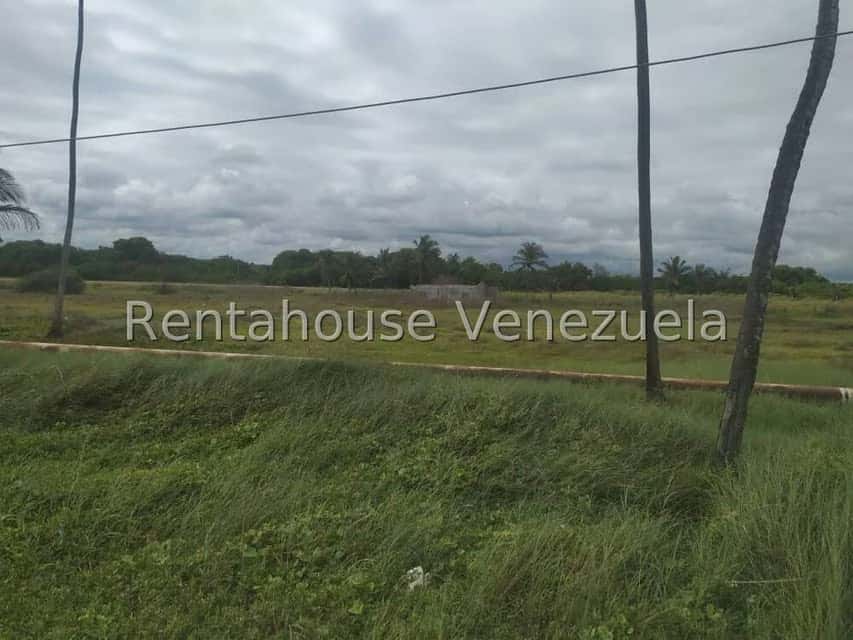 Vista 9