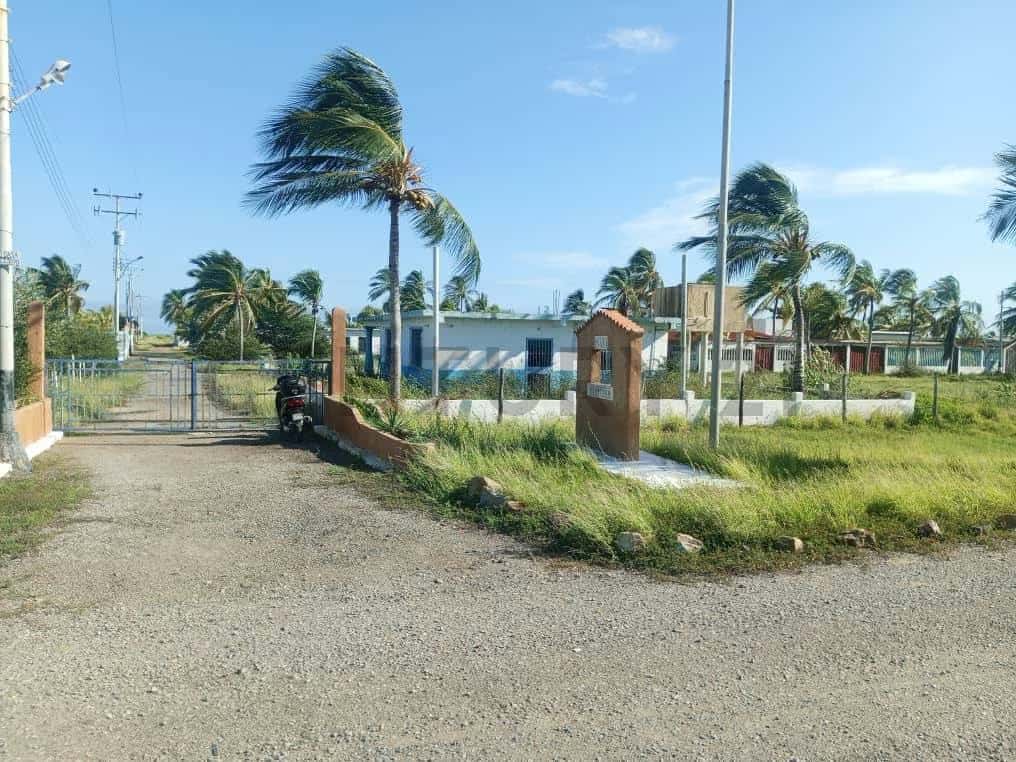 Vista 1