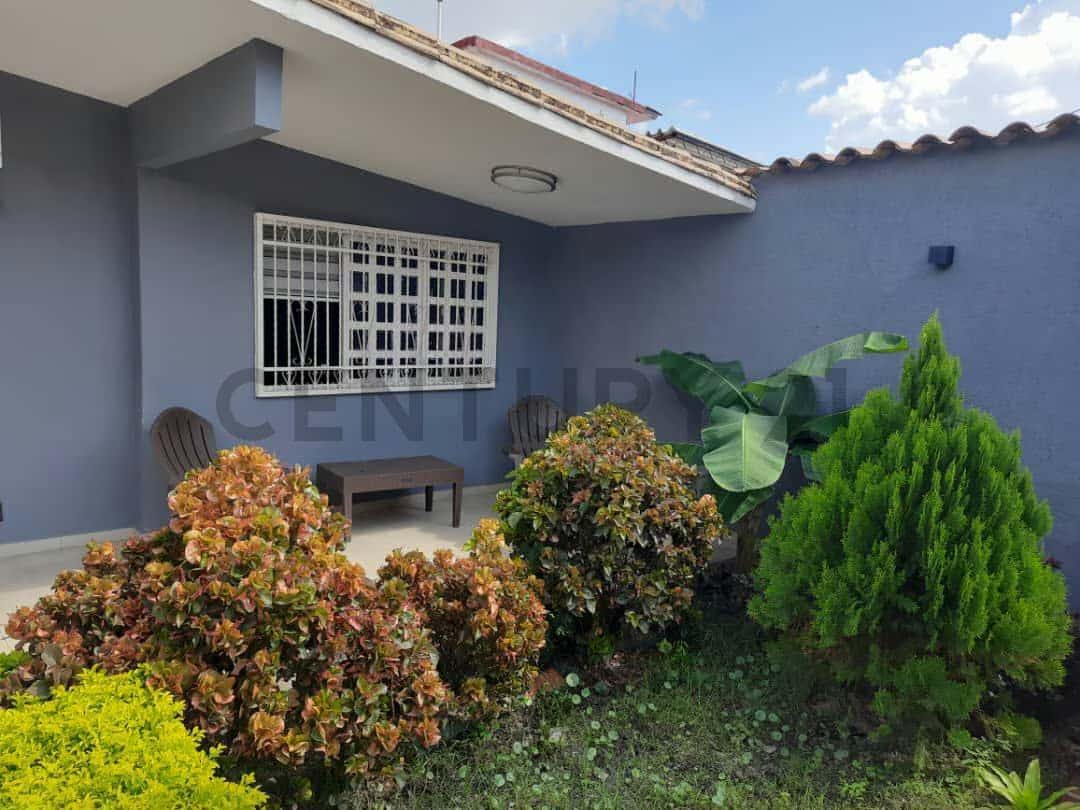 Vista 24