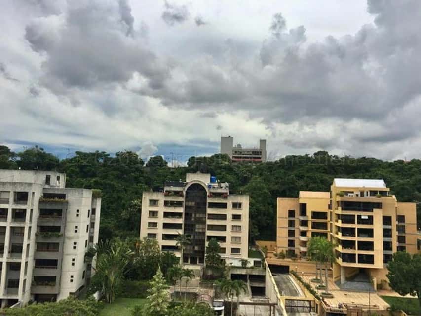 View 55