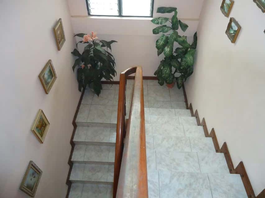 View 28