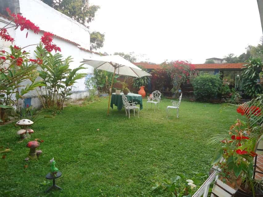 View 55