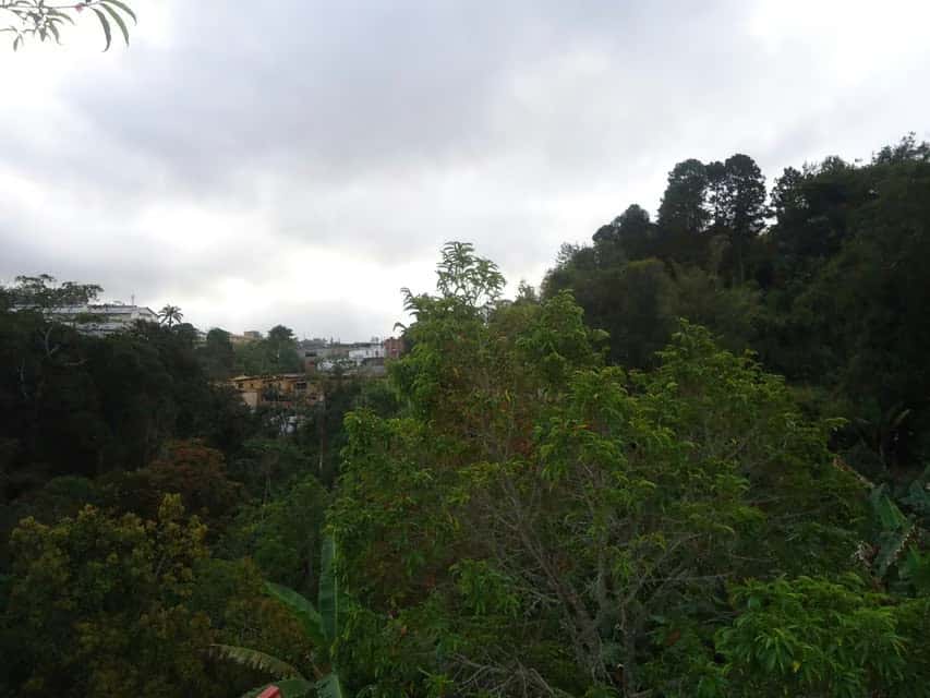 View 58