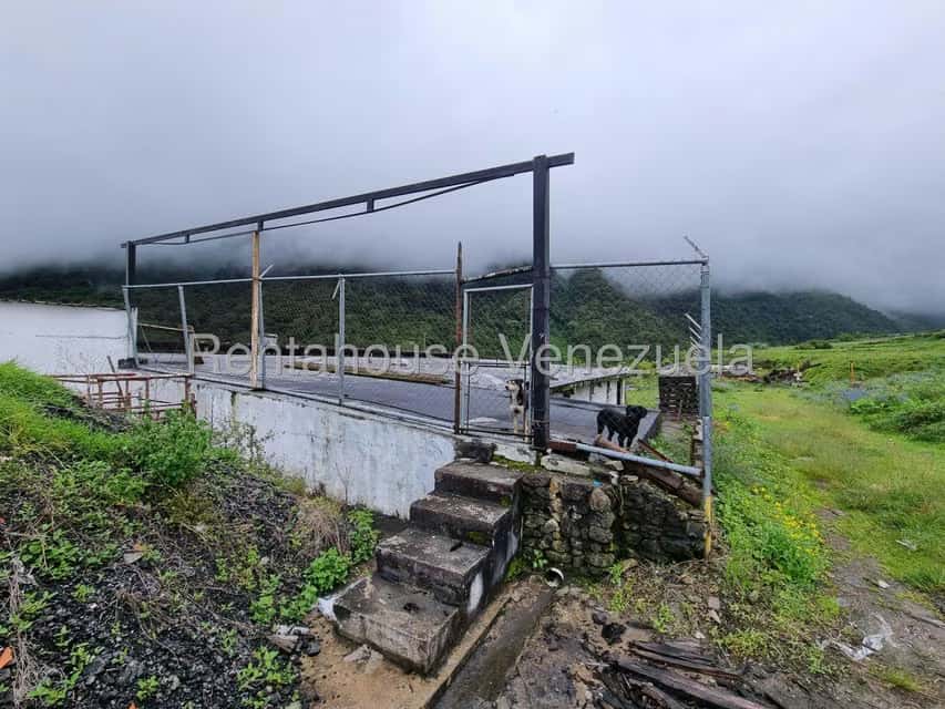 View 33
