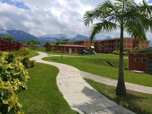 View 12