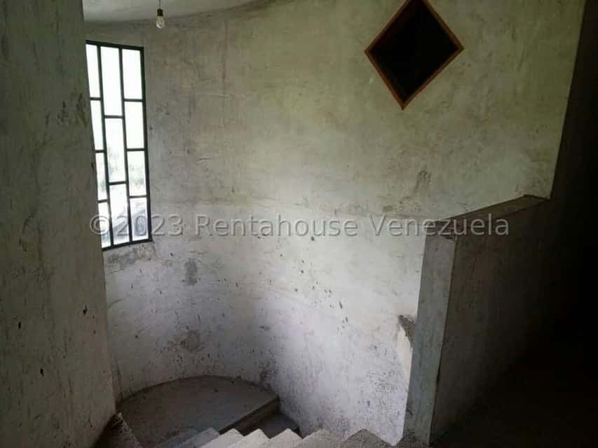 Vista 19