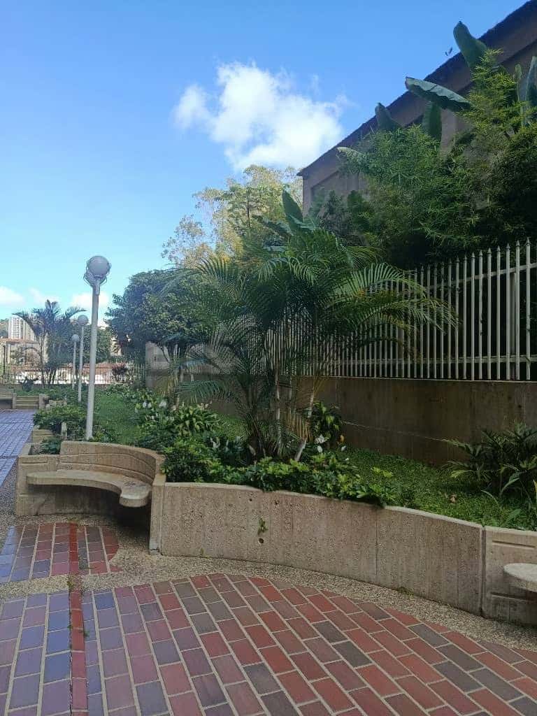 Vista 11