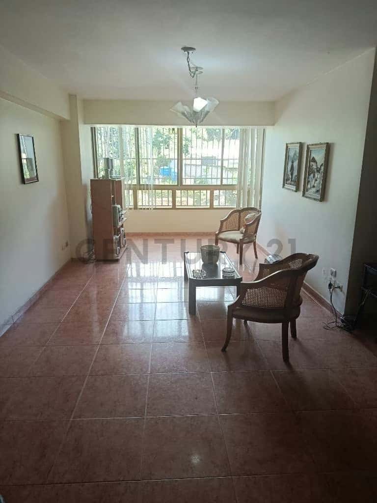 Vista 4