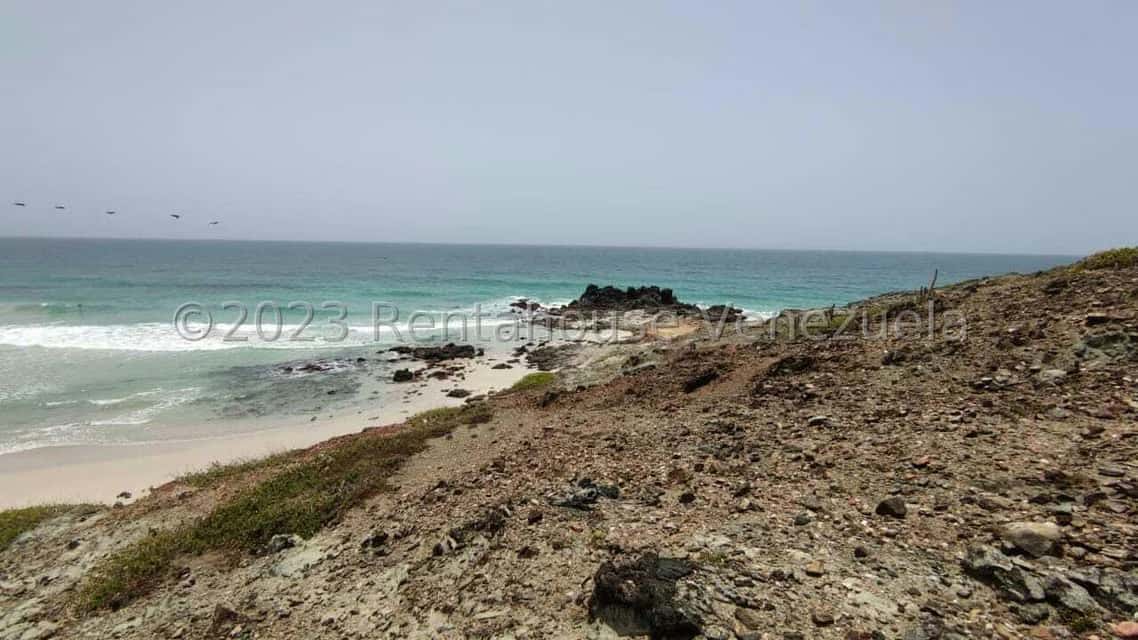 View 5