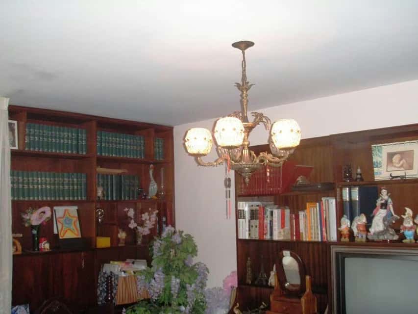 Vista 5