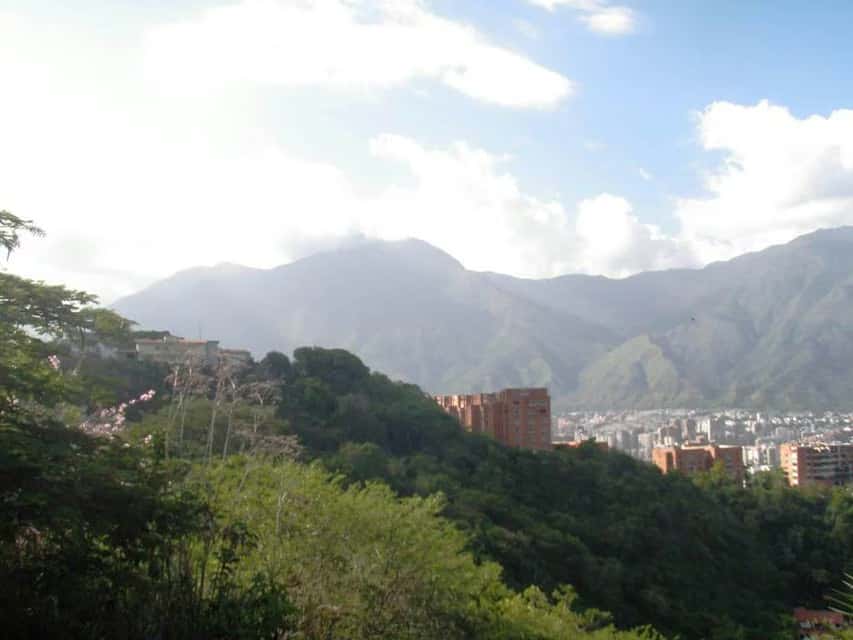 Vista 48