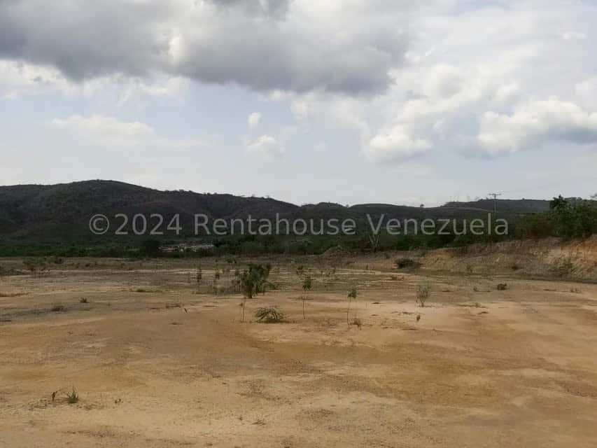 View 7