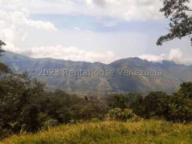 View 11