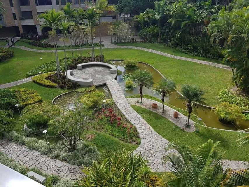 Vista 33