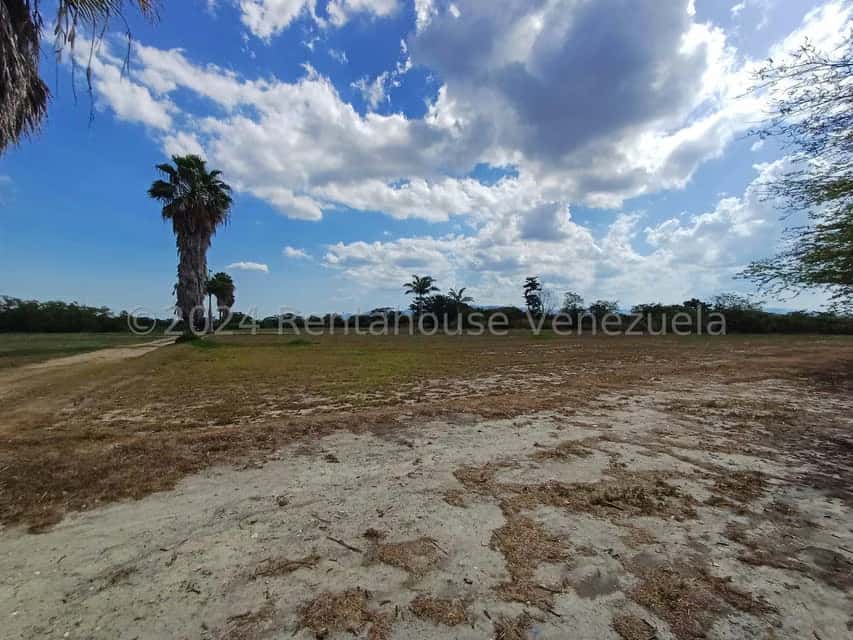 View 2