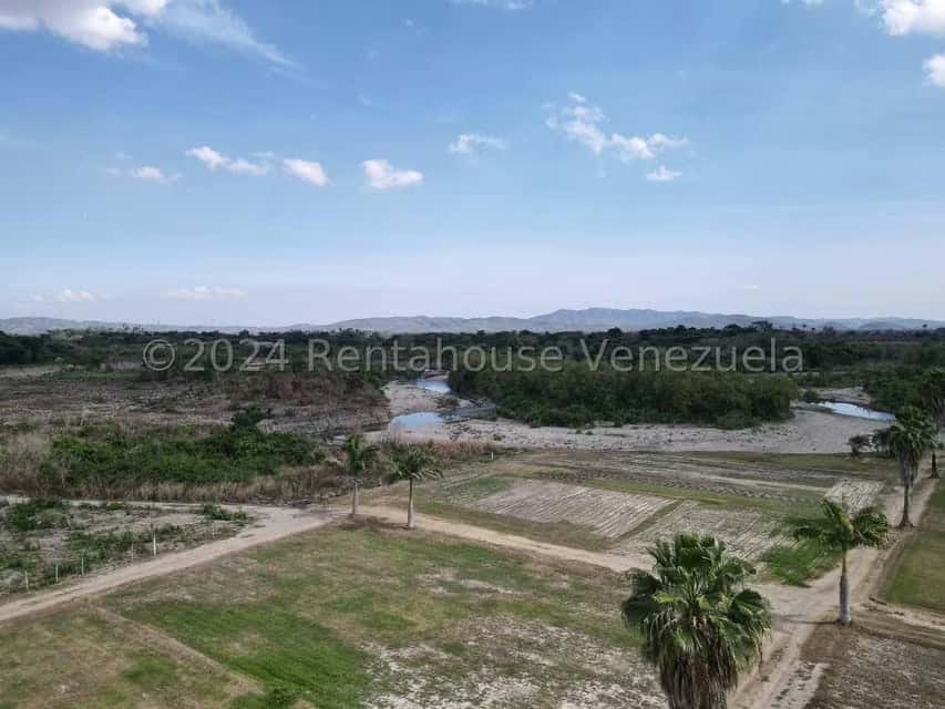 View 18