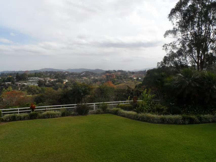 View 31