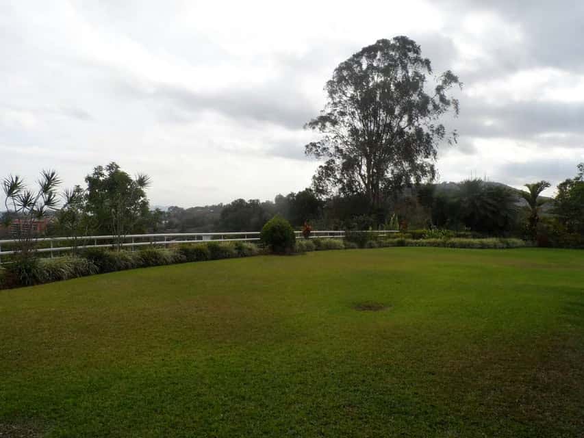 View 75