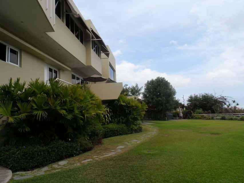 View 81