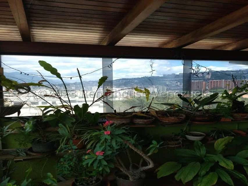 Vista 61