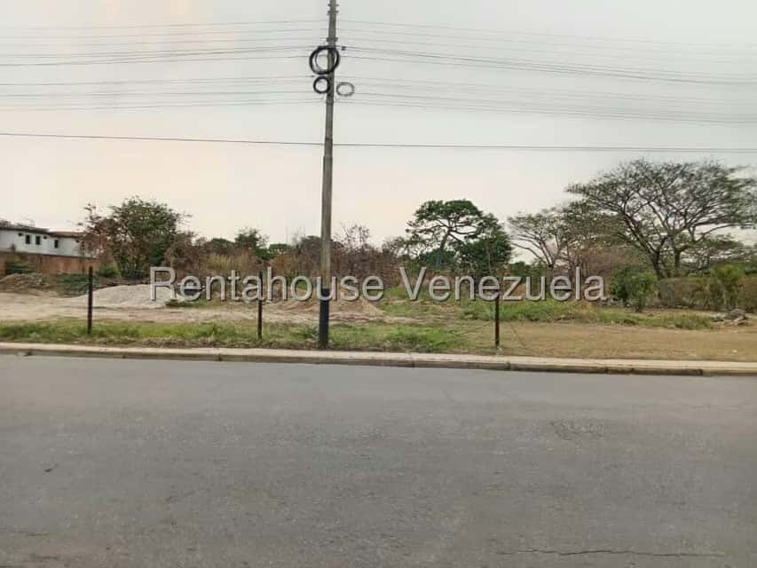 View 19