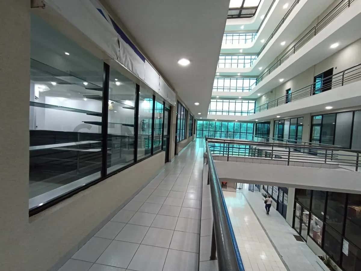 Vista 2