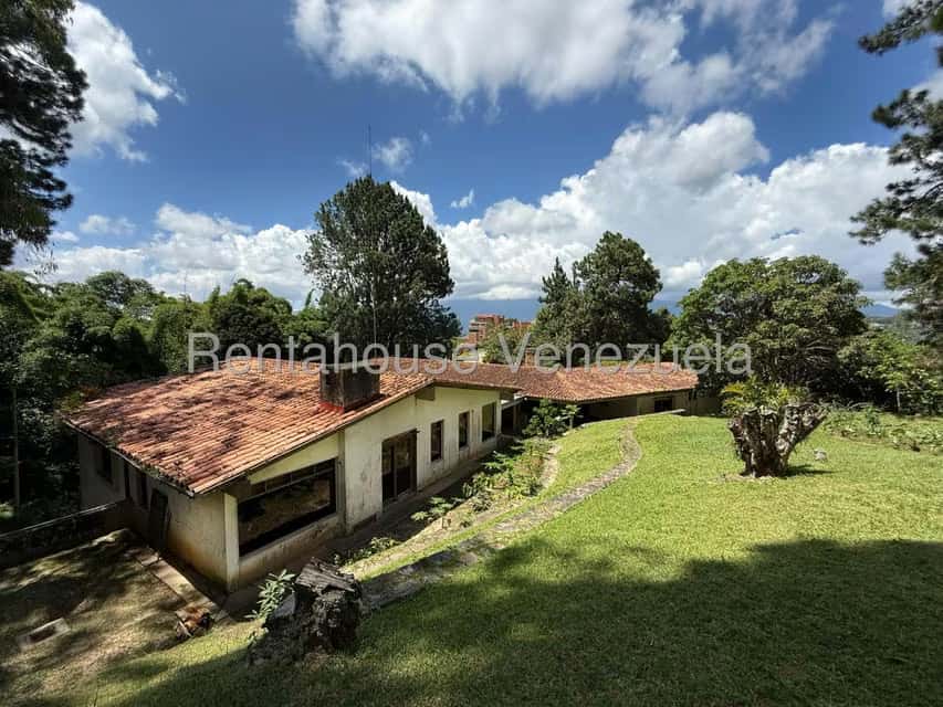 View 21