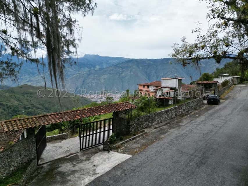 Vista 4