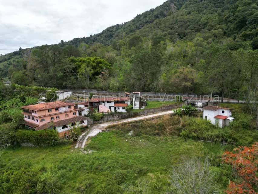 Vista 6