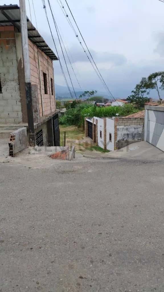 Vista 1