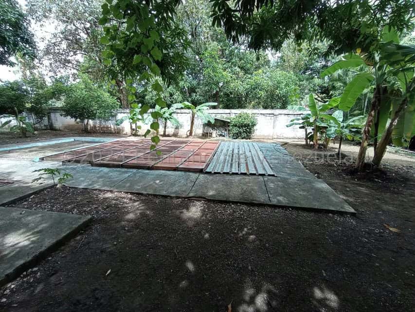 View 31