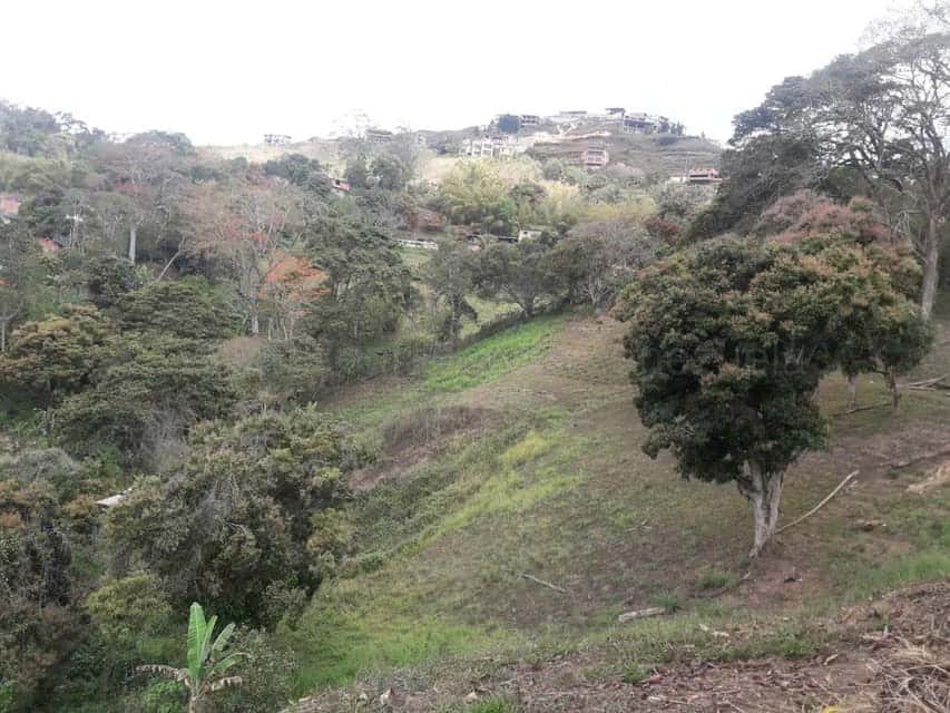 Vista 2