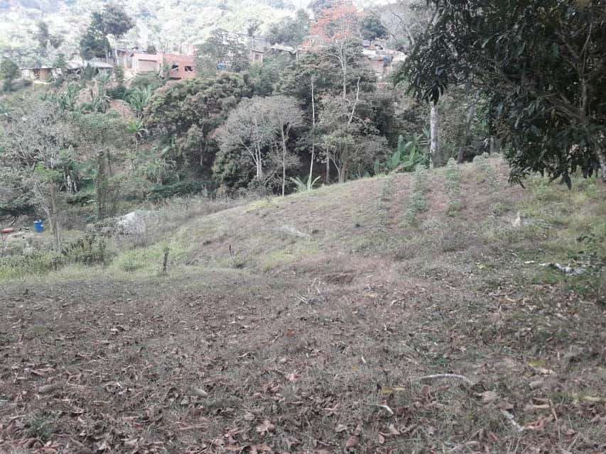 Vista 14
