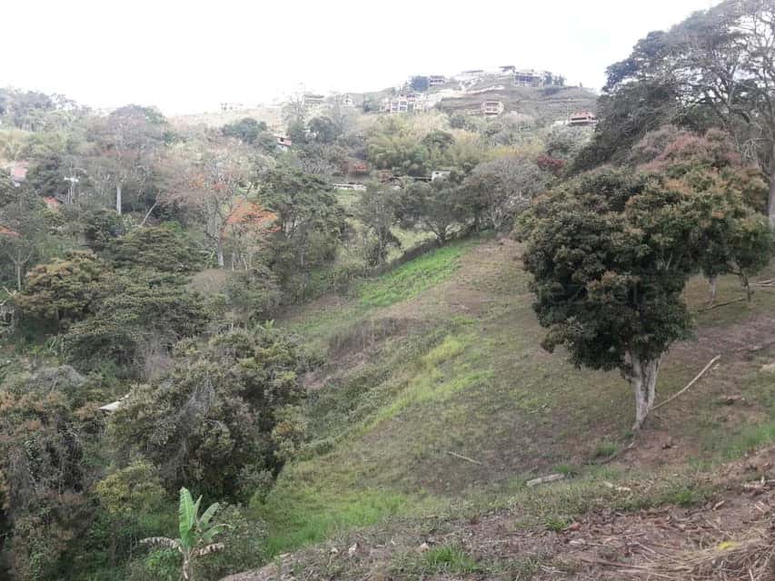 Vista 4