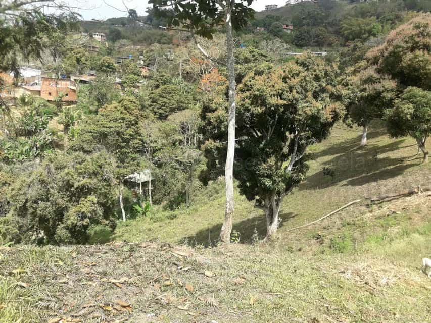 Vista 9