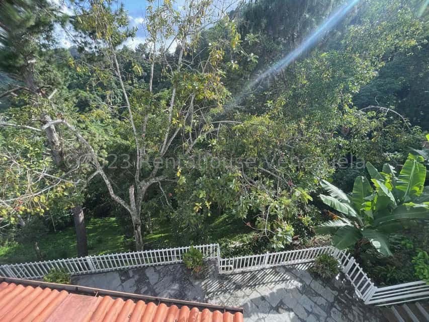 View 77