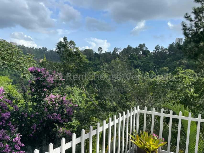 View 82