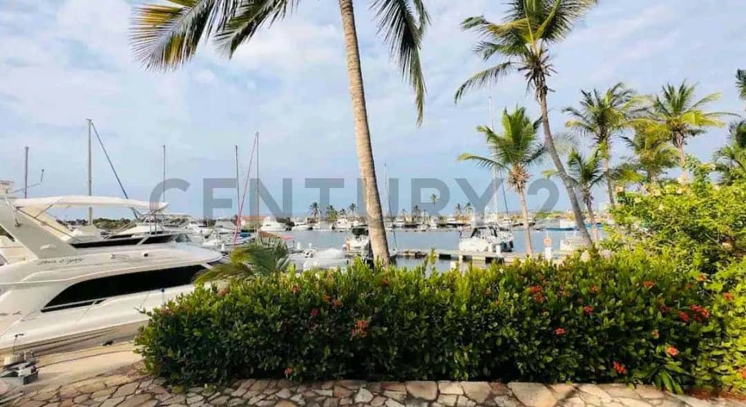 View 5