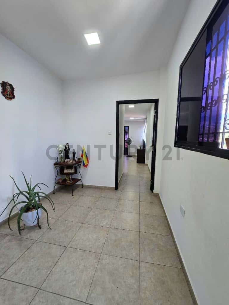 View 3