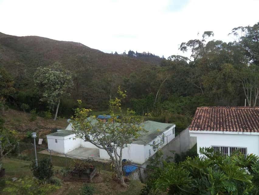 View 27