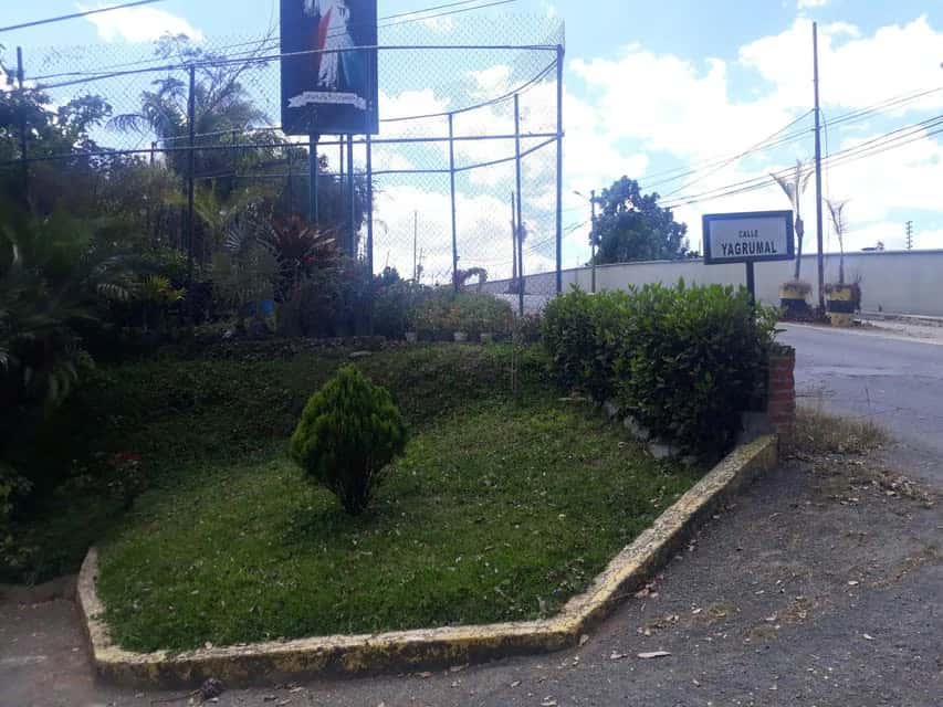 Vista 3