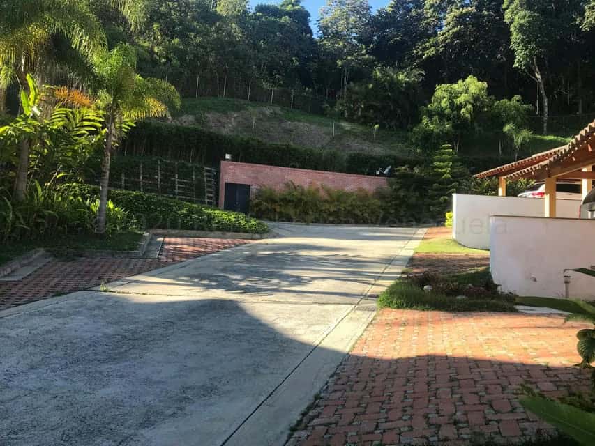 Vista 1