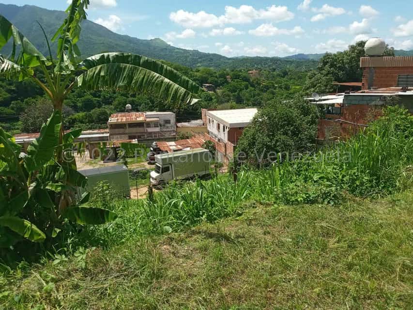Vista 7