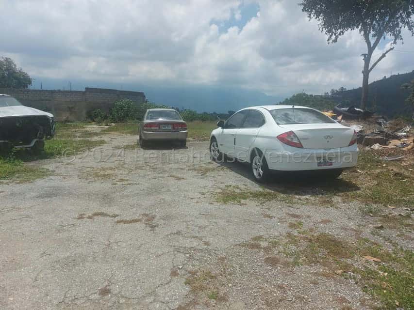 View 5