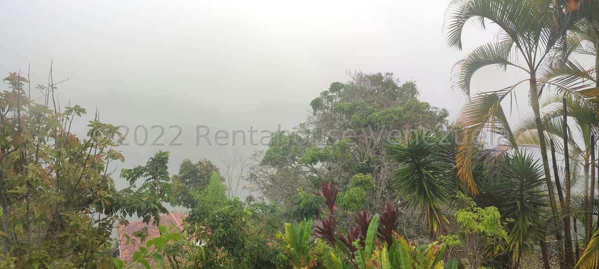 View 21