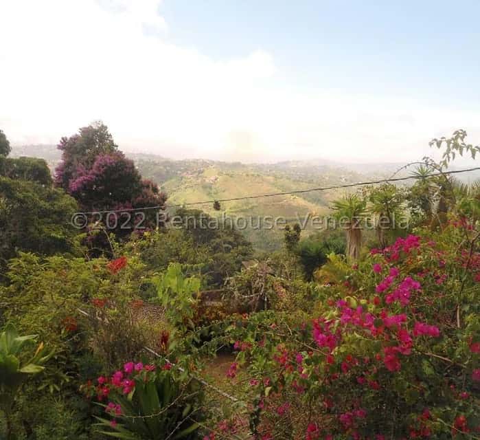 View 54