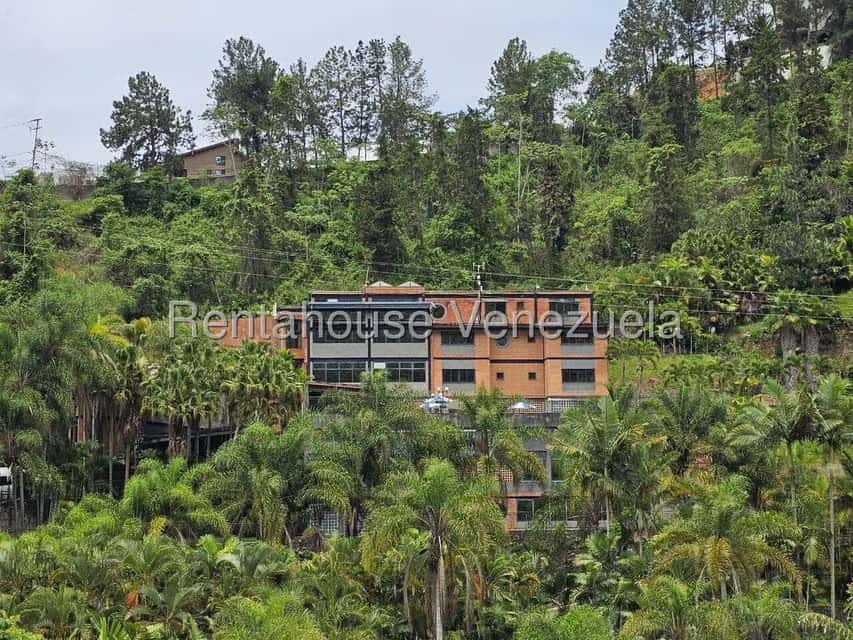 Vista 2