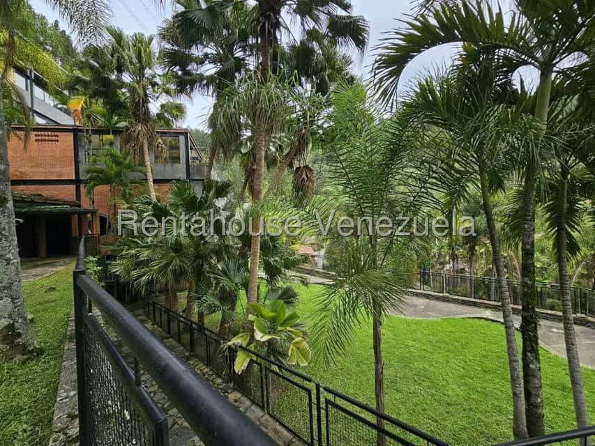 Vista 3