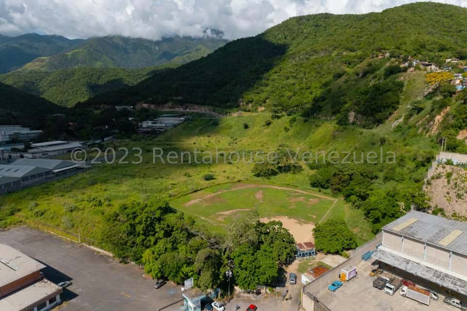 View 14