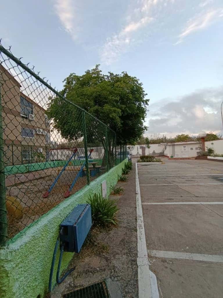 Vista 15